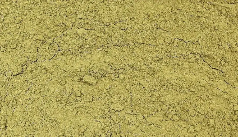 Hemp Protein