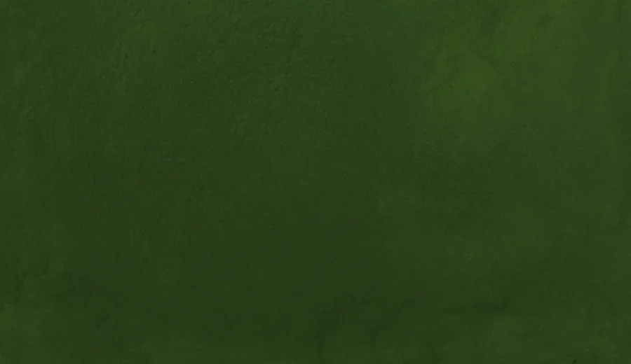Chlorella