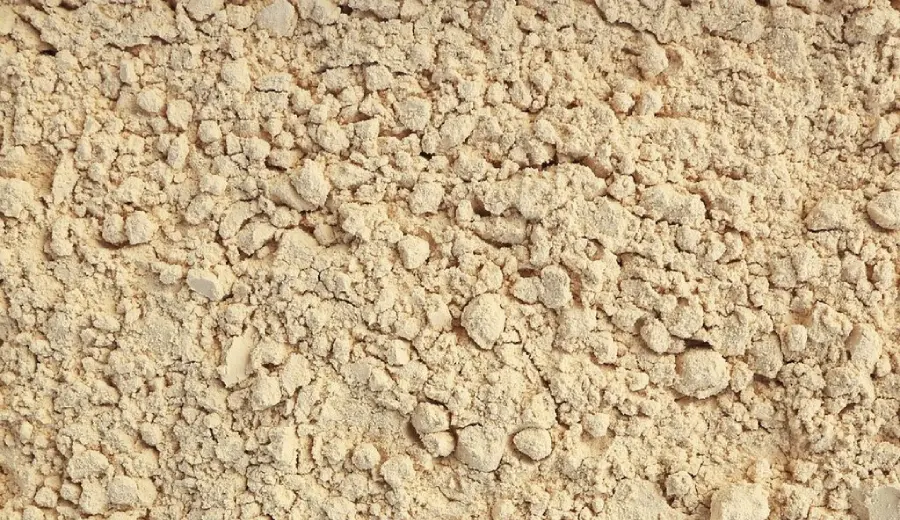 Pea Protein