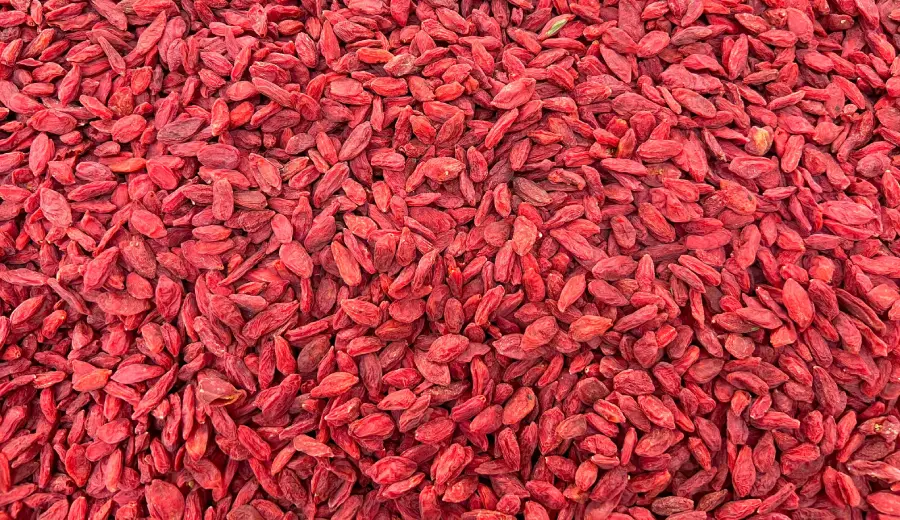 Goji Berry