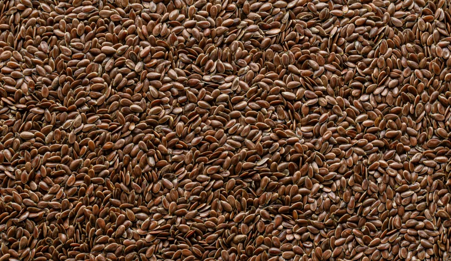 Flax Seeds