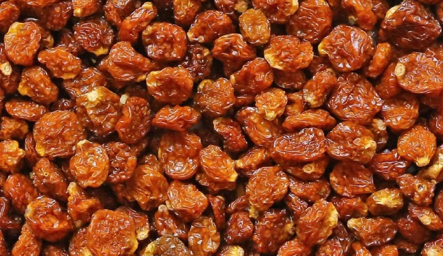 Inca Berries