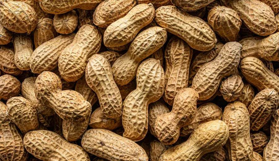 Peanuts
