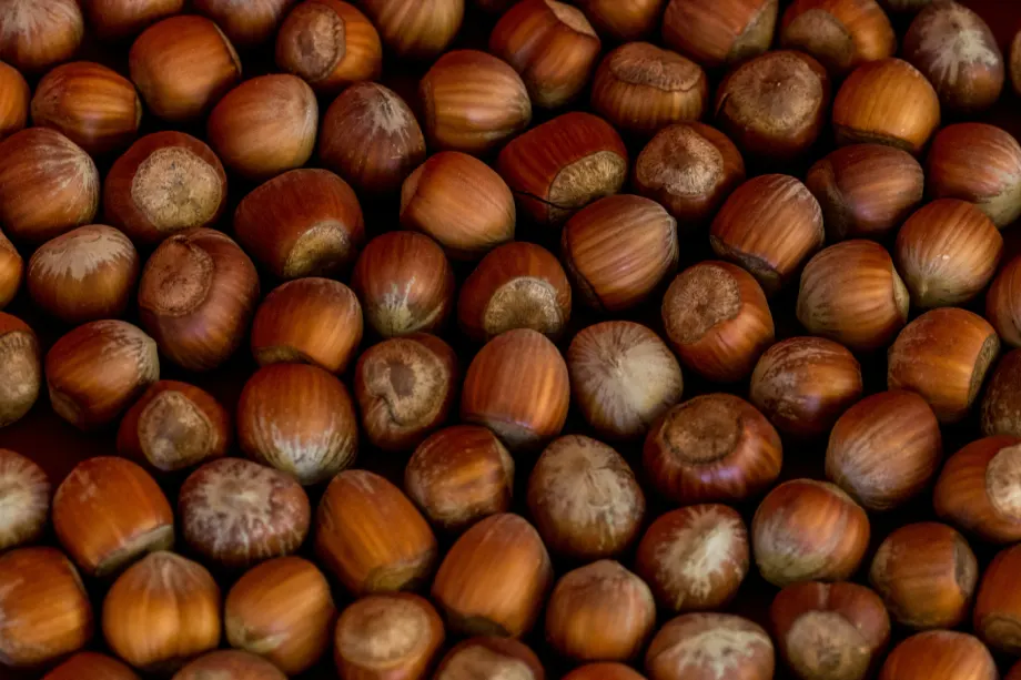 Hazelnuts