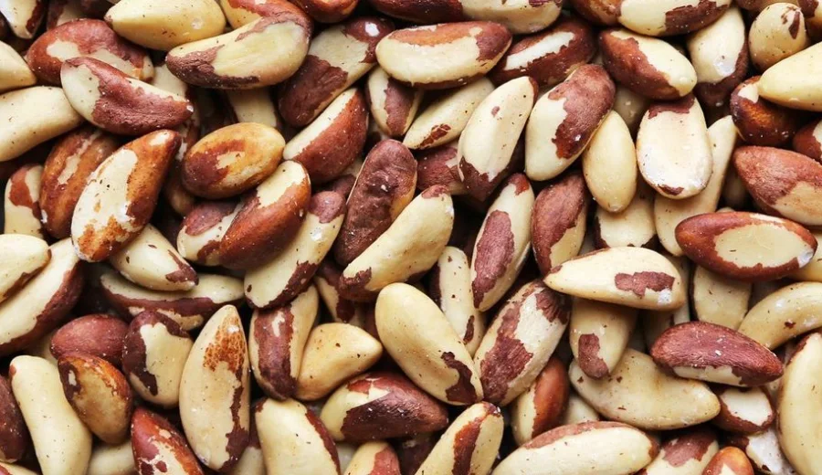 Brazil Nuts