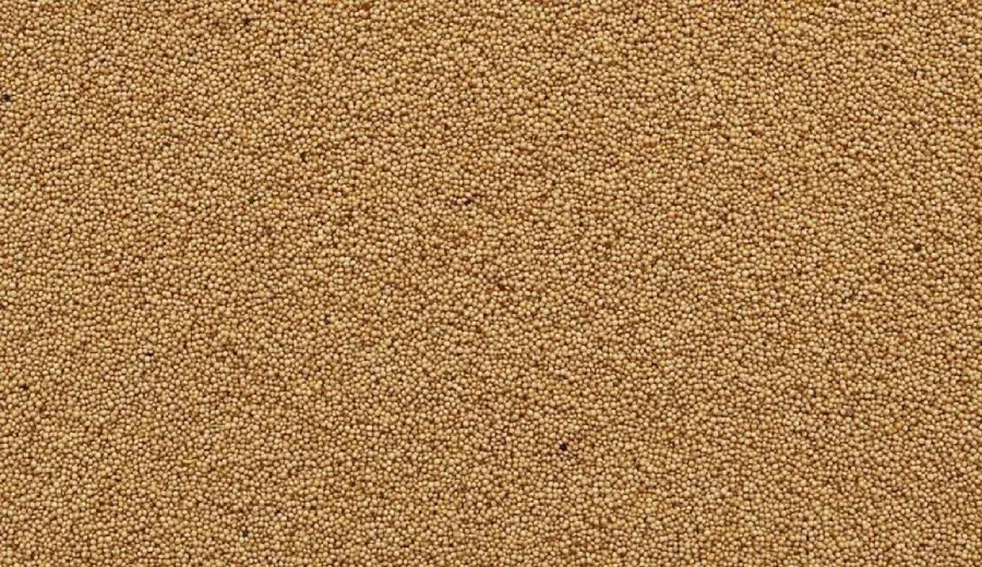 Amaranth