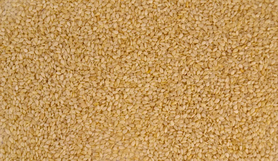 Sesame Seeds