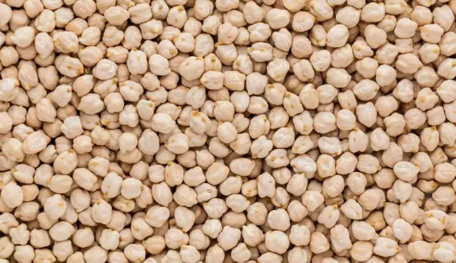 Chickpeas
