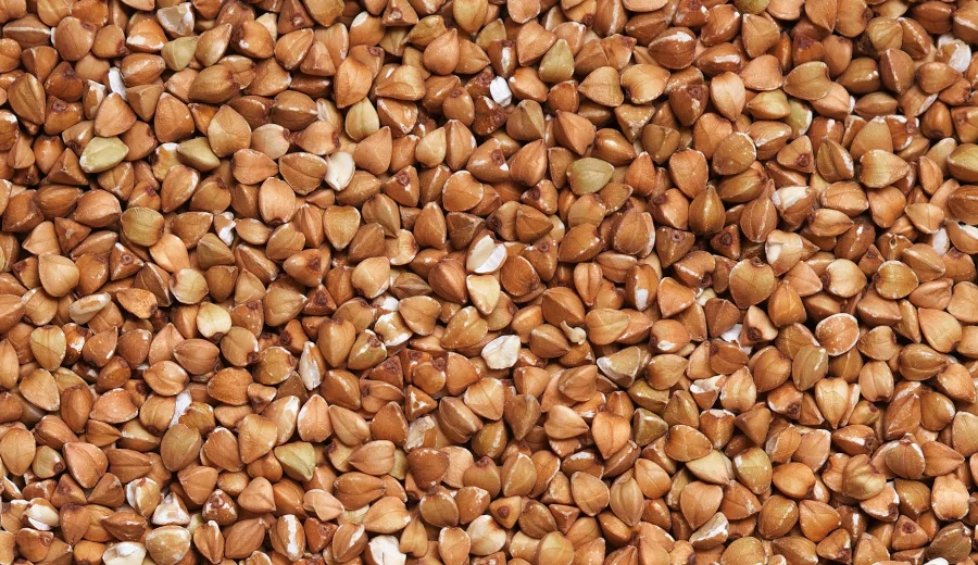 Buckwheat