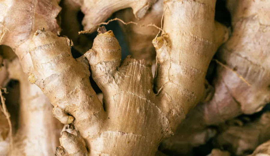Ginger