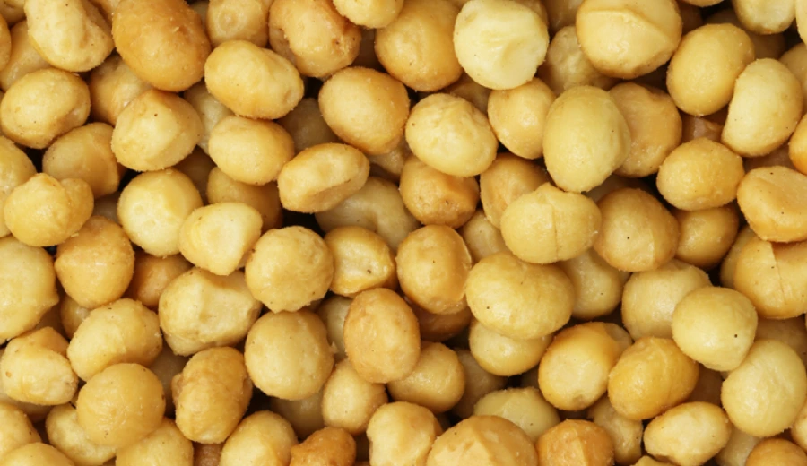 Macadamia