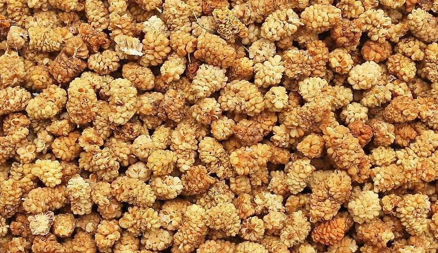 Mulberry