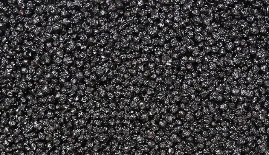 Blueberry
