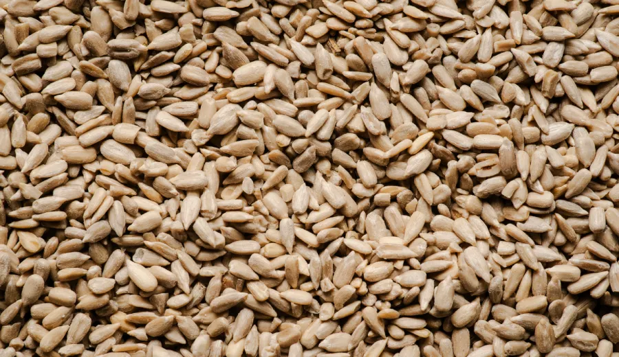 Sunflower Seeds
