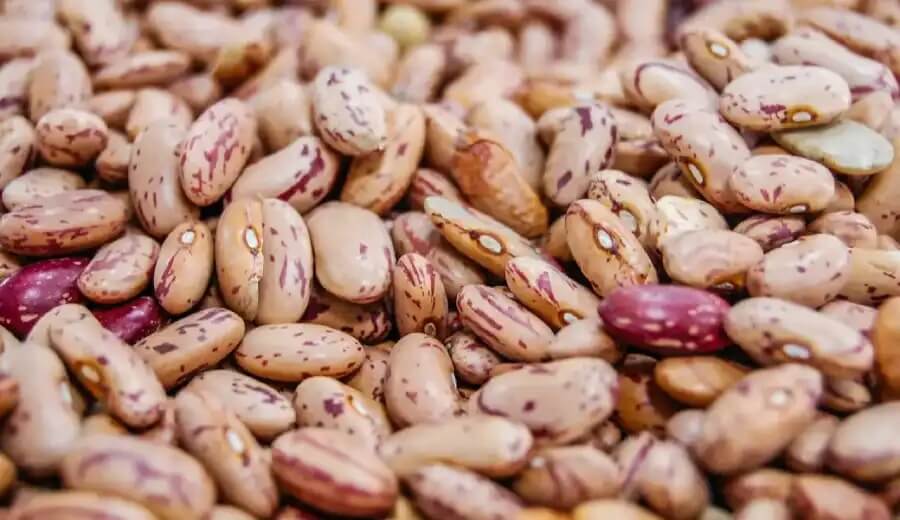 Beans