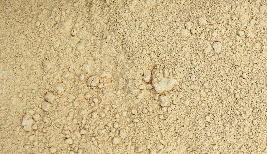 Maca