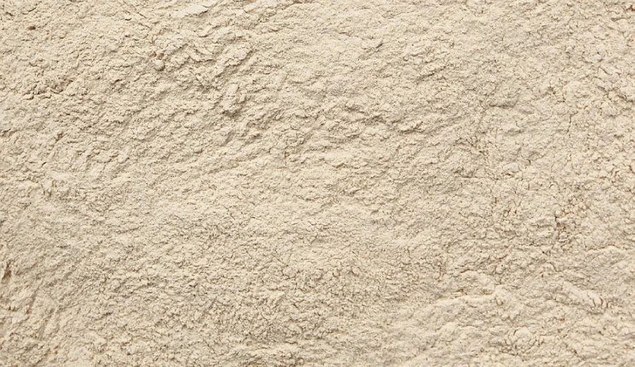 Lucuma