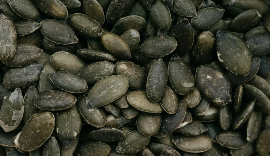 Pumpkin Seeds