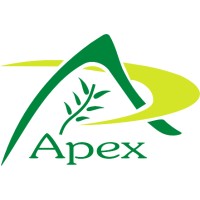 Apex International