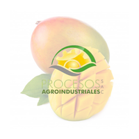 Procesos Agroindustriales S.A.C.