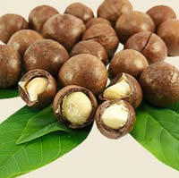 Batian Nuts Limited