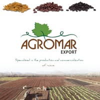 Exportadora Agromar Spa
